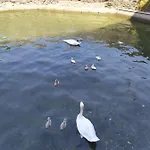 Апартаменты Casa Valli *