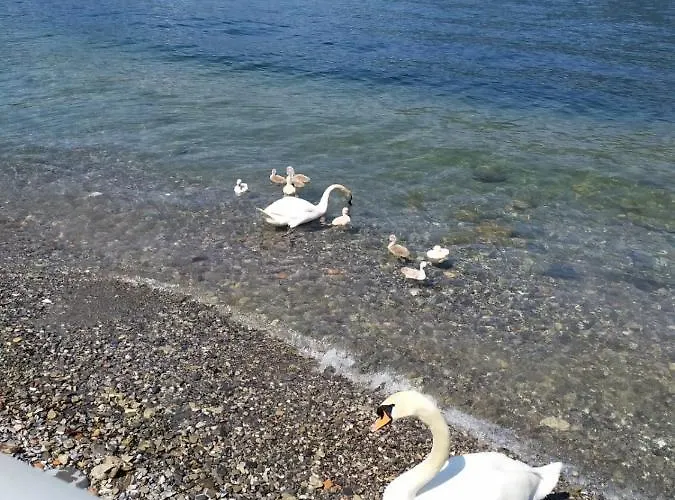 Апартаменты Casa Valli