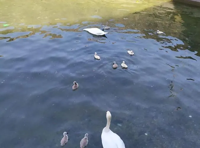 Апартаменты Casa Valli *