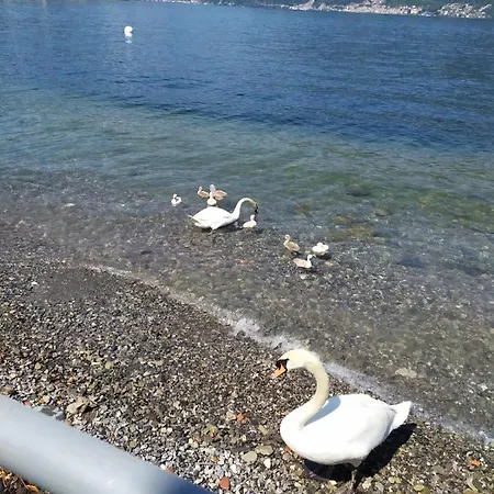 Appartement Casa Valli